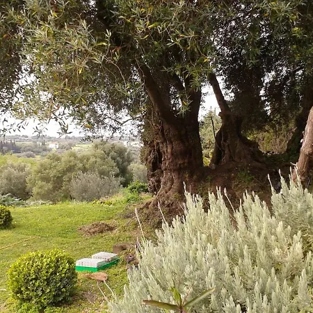 Holiday home Georgios Seaview *